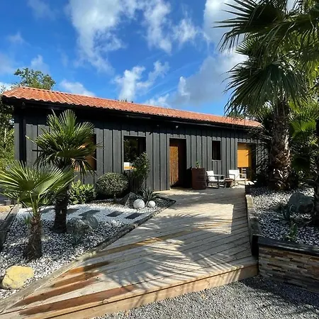 Taussat Piscine Chauffee Et Jacuzzi