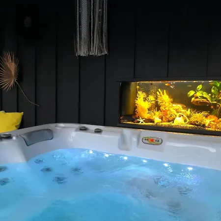 Taussat Piscine Chauffee Et Jacuzzi فيلة *
