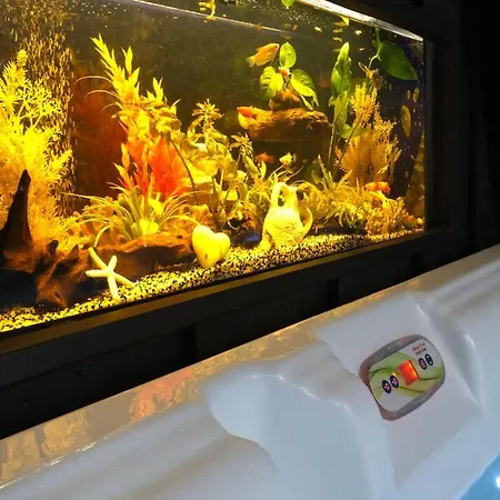 فيلة Taussat Piscine Chauffee Et Jacuzzi لانتون